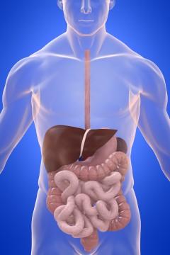 Leaky Gut Syndrome